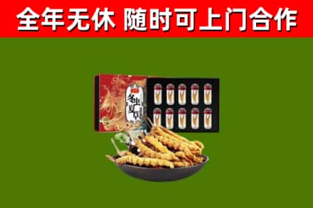 石景山回收冬虫夏草价格